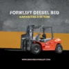 Forklift Big 5-10 Ton